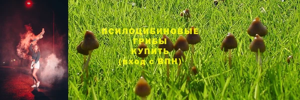 тгк Верея