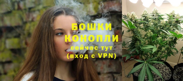тгк Верея