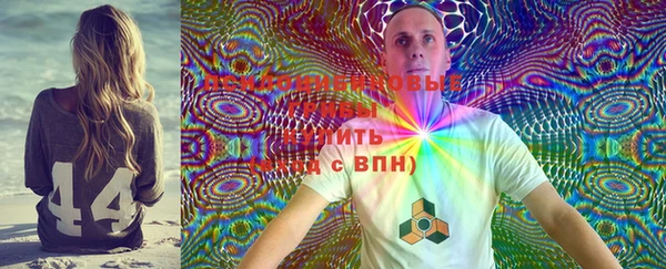 тгк Верея