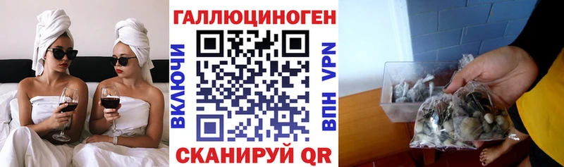 blacksprut ссылка  Кемерово  Галлюциногенные грибы Magic Shrooms 